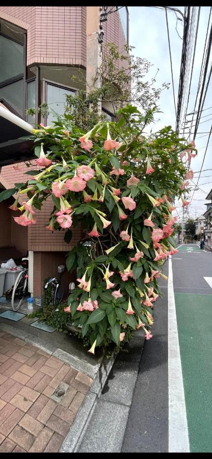 都心の家30 Square Meter King Size Bed With Stepping Rice 東京都